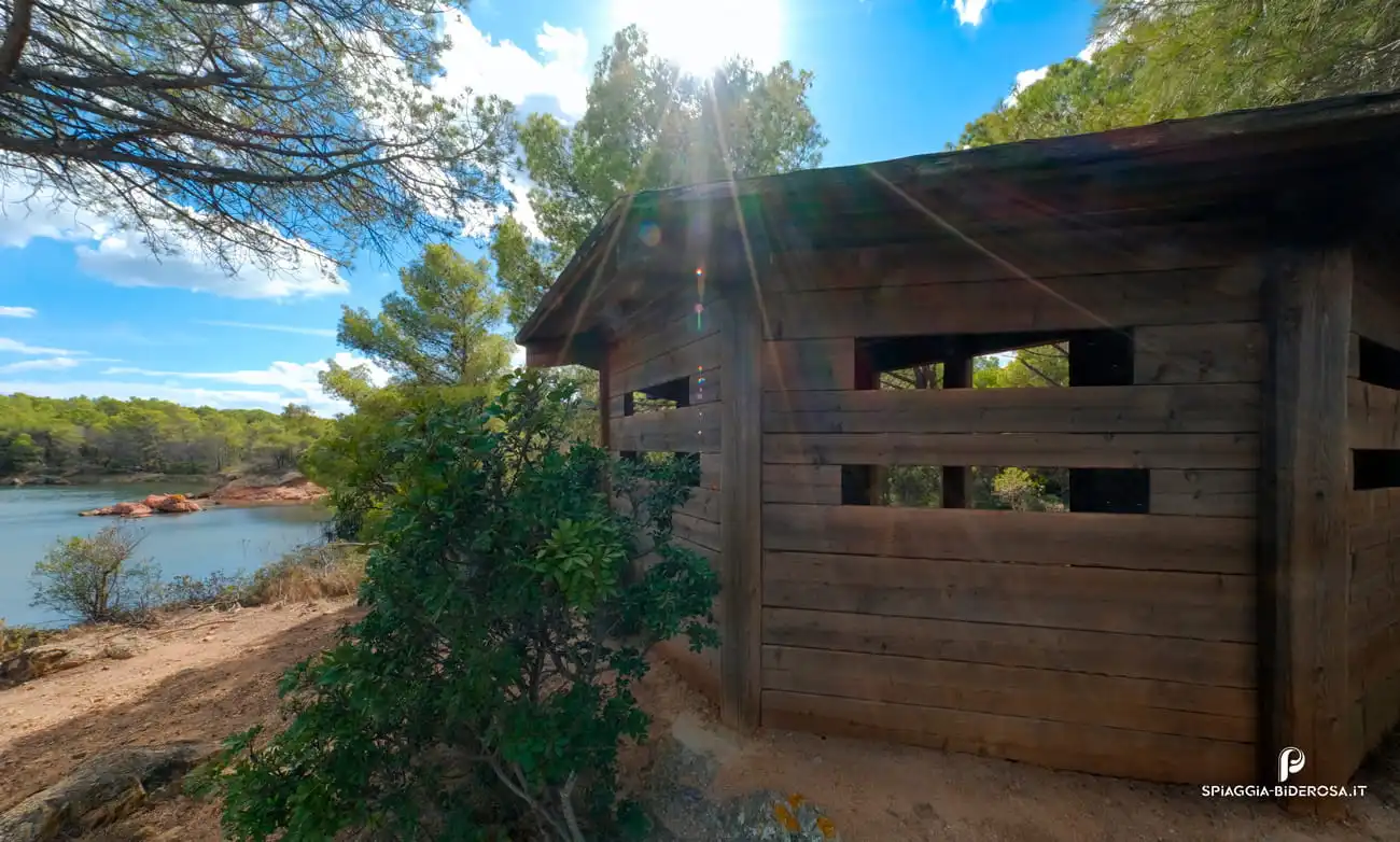 appassionati di birdwatching 2