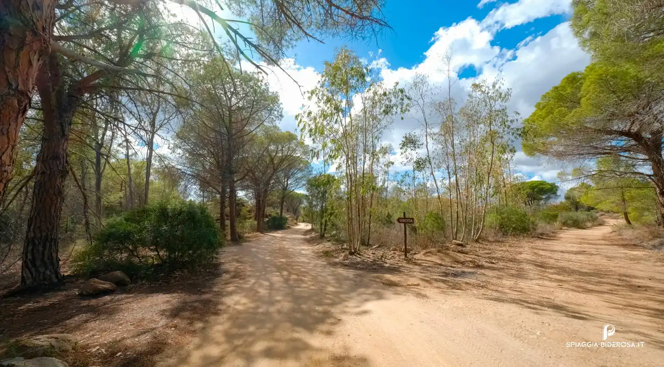 Visitare l’Oasi di Bidderosa