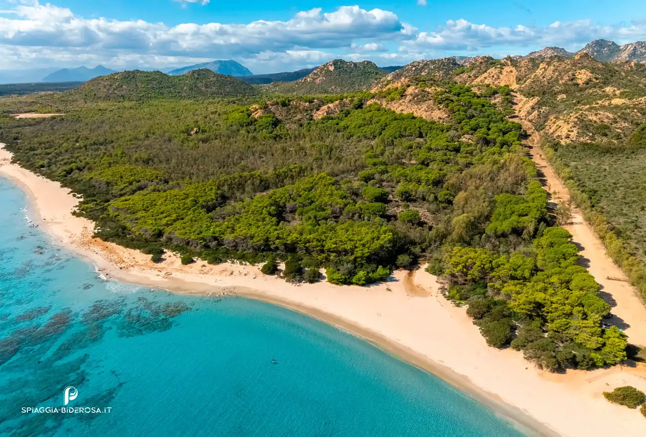 Beach Number Five: The Hidden Gem