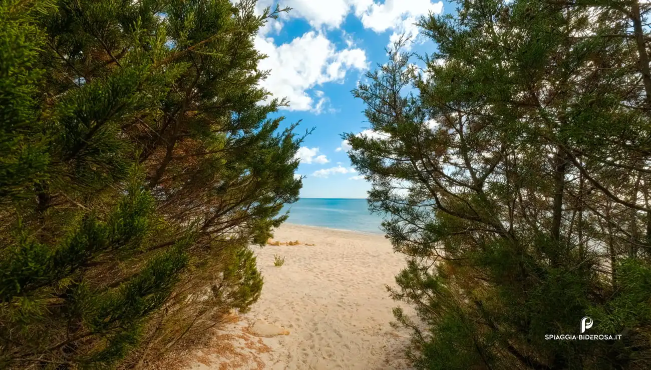 Beach Number OneThe Gateway to Paradise