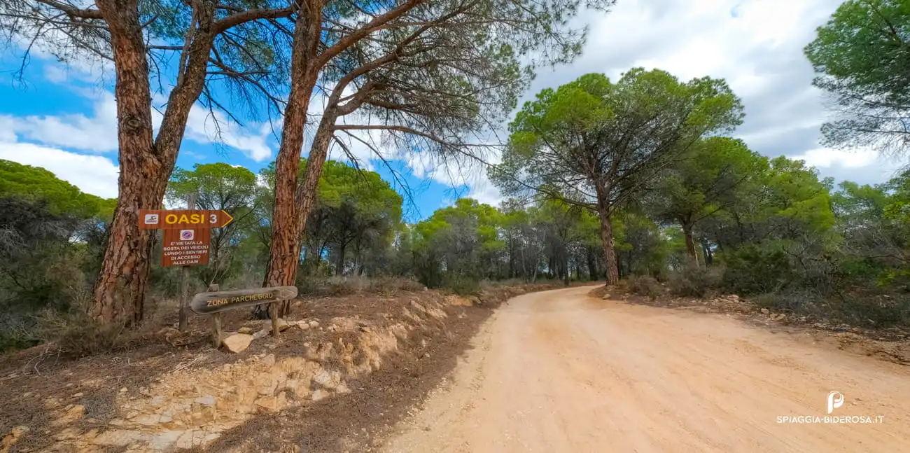 Beach Number Three: The Adventurer’s Delight