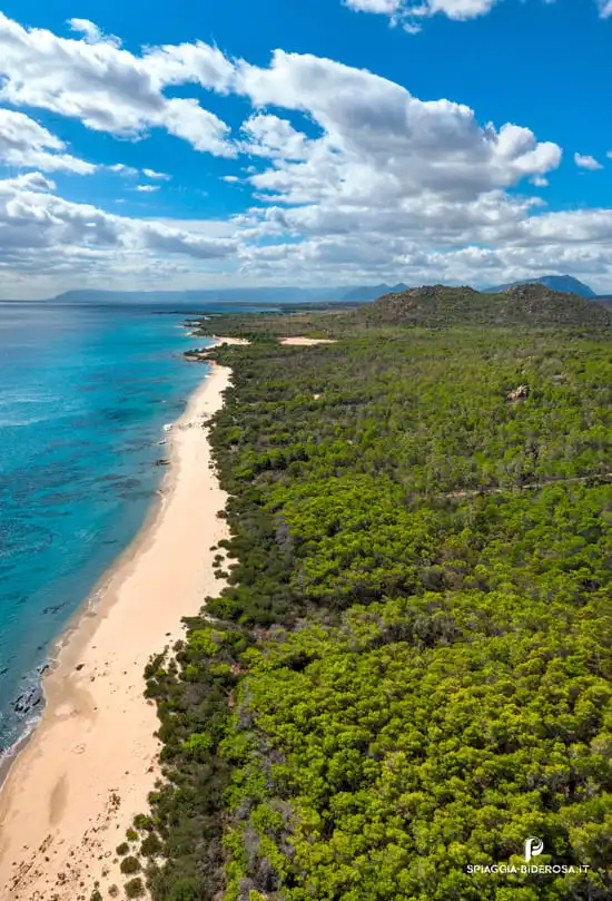 Beach Number Four: Nature’s Canvas